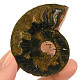 Ammonite half from Madagascar 34g