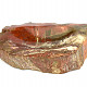 Petrified wood bowl (Madagascar) 853g