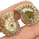 Ammonite pair 6g