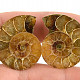 Ammonite selection pair 13g from Madagascar