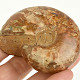 Whole ammonite with opal luster from Madagascar 125g