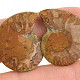 Ammonite selection pair 7g from Madagascar