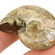 Ammonite whole with opal luster from Madagascar 21g