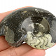 Goniatite fossil Morocco 58g