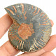 Ammonite half from Madagascar 49g
