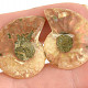 Collectable ammonite pair 6g from Madagascar