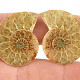 Ammonite selection pair from Madagascar 8g