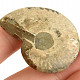 Fossil ammonite whole (Madagascar) 19g