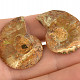 Ammonite pair from Madagascar 7g