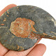 Ammonite half from Madagascar 41g