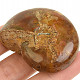 Ammonite whole with opal luster from Madagascar 64g