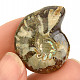 Ammonite whole with opal reflections (Madagascar) 11g