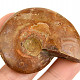 Ammonite whole with opal luster from Madagascar 35g