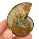 Ammonite whole with opal luster from Madagascar 52g
