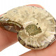 Fossil ammonite whole from Madagascar 9g