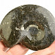 Goniatite fossil from Morocco 104g