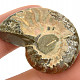 Ammonite whole with opal luster Madagascar 15g