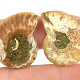Sběratelský amonit pár z Madagaskaru 8g