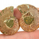 Collectable ammonite pair from Madagascar 8g