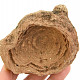 Zkamenělý stromatolit Maroko 344g