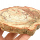 Petrified wood slice from Madagascar 269g