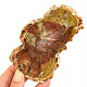 Petrified wood slice from Madagascar 243g