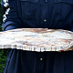 Petrified wood large decorative slice 4497g