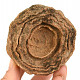 Petrified stromatolite Morocco 389g