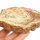 Petrified wood slice from Madagascar 287g