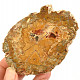 Petrified wood slice from Madagascar 180g