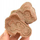 Fosilní stromatolit Maroko 348g