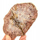 Petrified wood slice from Madagascar 256g