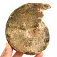 Fossil ammonite tractor (Morocco) 813g