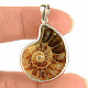 Ammonite silver pendant Ag 925/1000 5.3g