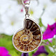 Ammonite silver pendant Ag 925/1000 5.3g