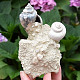 Decorative shell conglomerate 302g