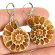 Ammonite clasp earrings Ag 925/1000 12.8g