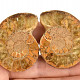 Ammonite pair from Madagascar 48g