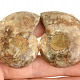 Ammonite pair from Madagascar 49g