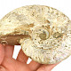 Smooth ammonite 539g in total