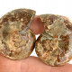 Ammonite pair from Madagascar 34g