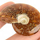 Fossil ammonite whole from Madagascar 18g