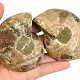 Pair of ammonites from Madagascar 197g