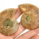 Fossil ammonite pair (Madagascar) 45g