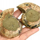 Pair of ammonites from Madagascar 210g