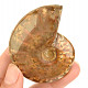 Fossil ammonite whole from Madagascar 69g