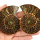 Pair of ammonites from Madagascar 147g