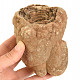 Fossil stromatolite (Morocco) 981g