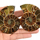 Pair of ammonites from Madagascar 170g