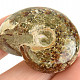 Fossil ammonite whole from Madagascar 28g